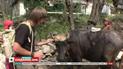 Комаров. Лучшее. Тапочки из автомобильных шин и зоосалон для скота