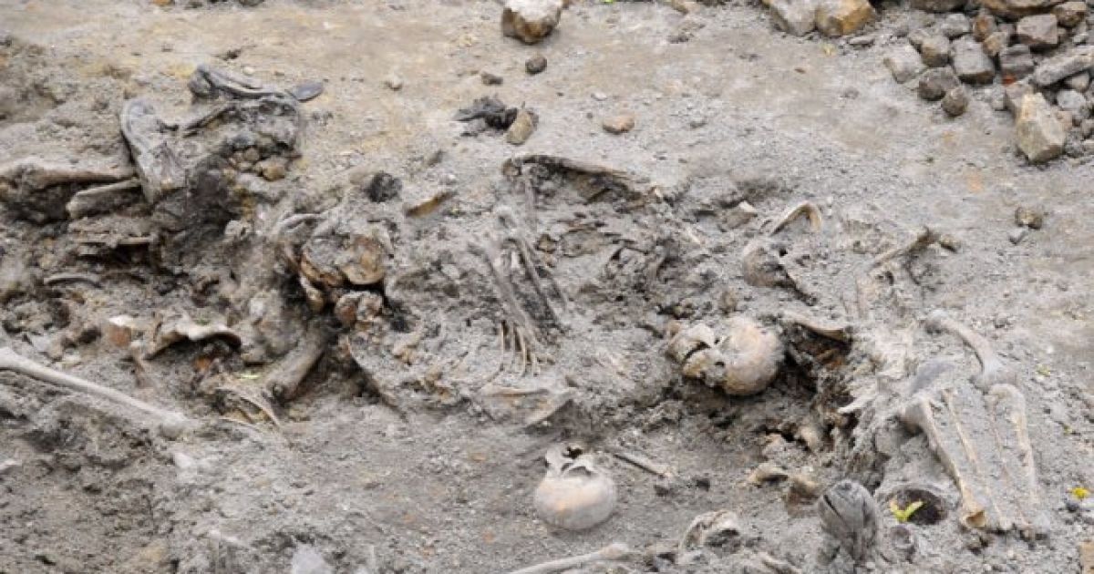 Кривавий розстріл: у Луцьку через 76 років знайшли останки понад 100 жертв НКВС_8 / © Волинь Post