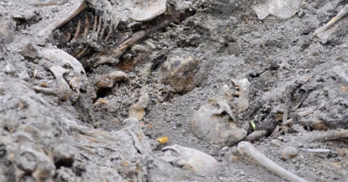 Кривавий розстріл: у Луцьку через 76 років знайшли останки понад 100 жертв НКВС_3 / © Волинь Post