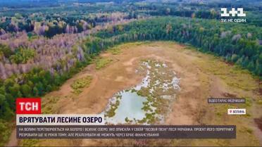 Озеро Нечимне, яке описане у "Лісовій пісні", майже перетворилося на болото | Новини України