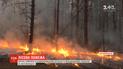 В Житомирской области на территории Белокоровицкого лесхоза спалхнул пожар