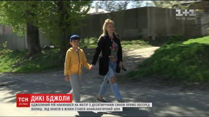 У Харкові на жінку із дитиною просто посеред вулиці накинувся бджолиний рій