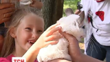 В Киевском зоопарке для детей устроили день ветеринара