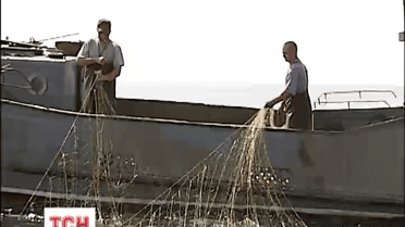 Рыба в Днепре и его водохранилищах живая, здоровая и достаточно упитанная