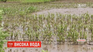 Через раптову повінь на Вінниччині загинула багатодітна матір
