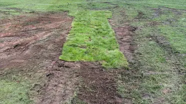 Провалля в гольф-клубі_2 / © Facebook