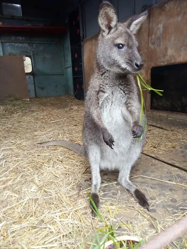 Novinky / © Novinky.cz