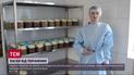 Кулич для собратьев: в Ровно пекут пасхальный хлеб на фронт