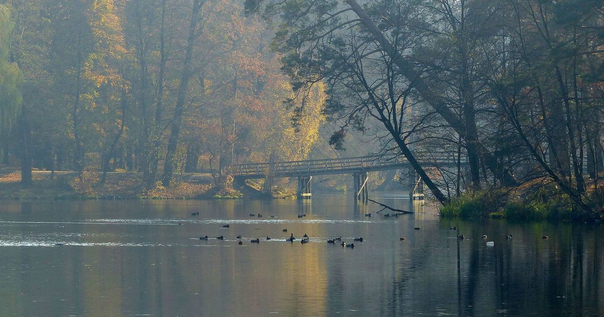 Багатоповерхівка в рекреаційній зоні: мешканці Пуща-Водиці вимагають зупинити забудову