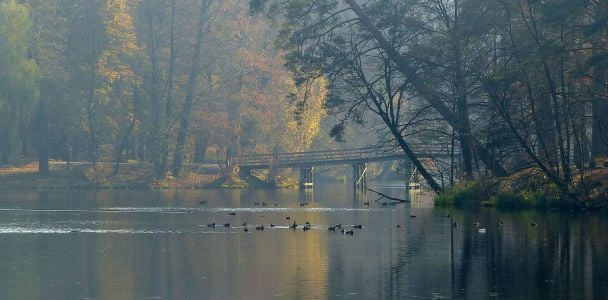  / © www.flickr.com/Mykola Vynogradov