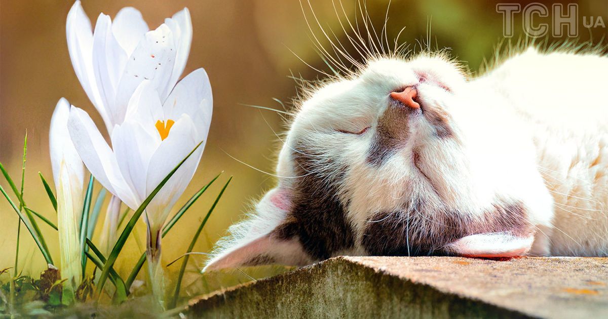 Прогноз погоди на 9 березня