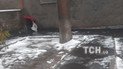 "Зневоднення" Києва: люди набирали воду зі стічних труб багатоповерхівок (фото)