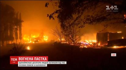 Каліфорнія страждає від жахливих пожеж