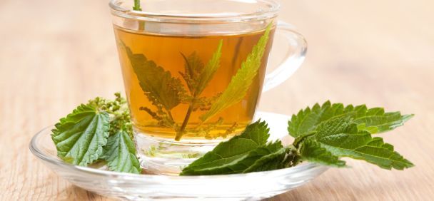 Чай із листя цієї рослини допомагає швидко знизити високий тиск: вона точно є на вашому городі