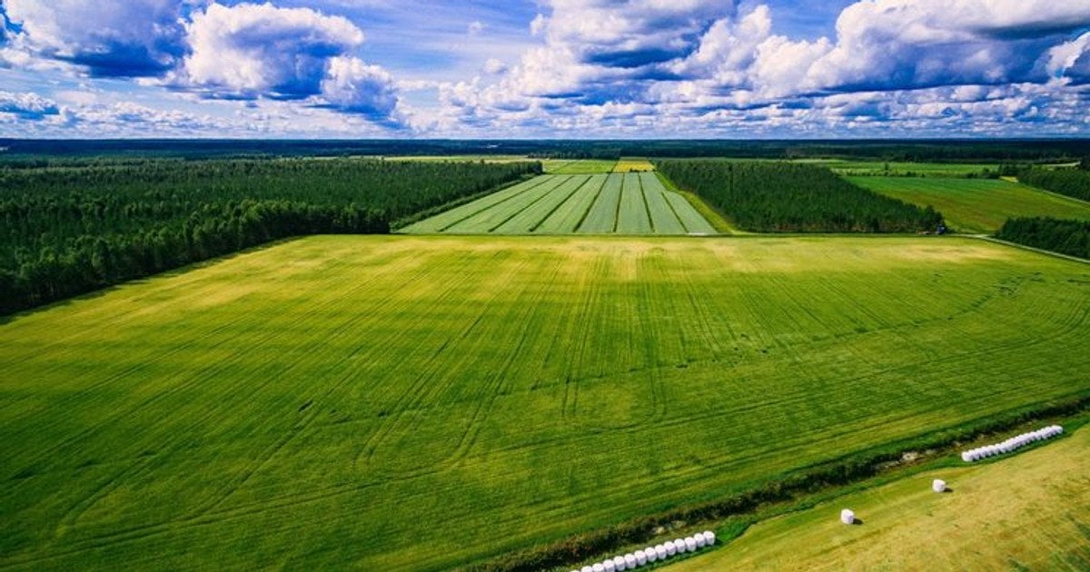 Щоб уникнути втрати землі, власникам необхідно пройти процедуру приватизації