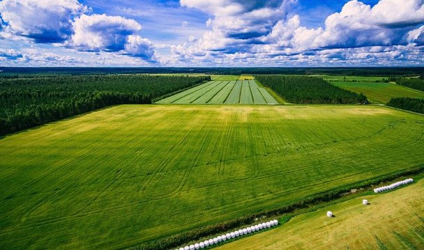 Сколько стоит украинская земля сейчас: эксперты прогнозируют рост цен