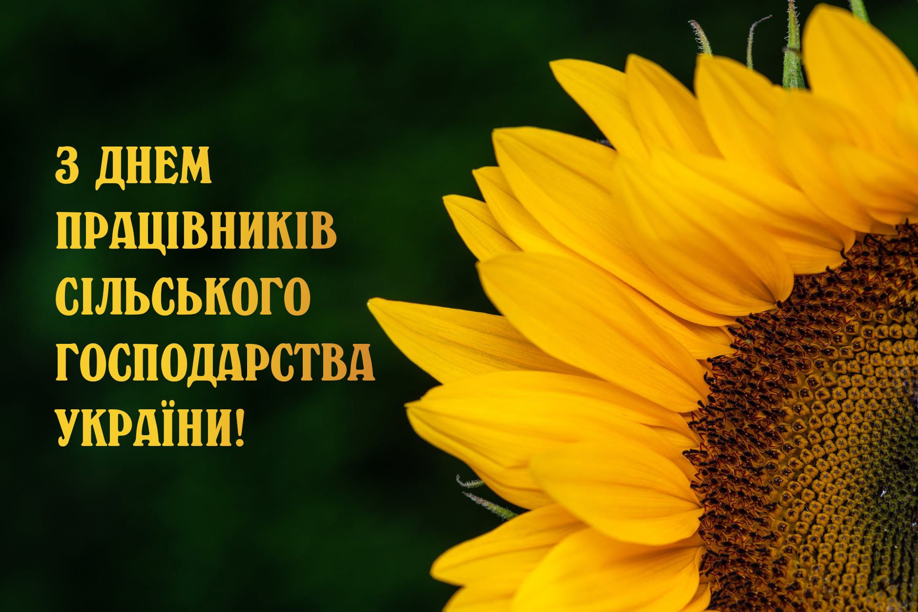 Привітання з Днем працівників сільскього господарства України / © 