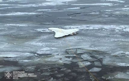 В Киевской области обнаружили обломки вражеского БпЛА на льду (фото)