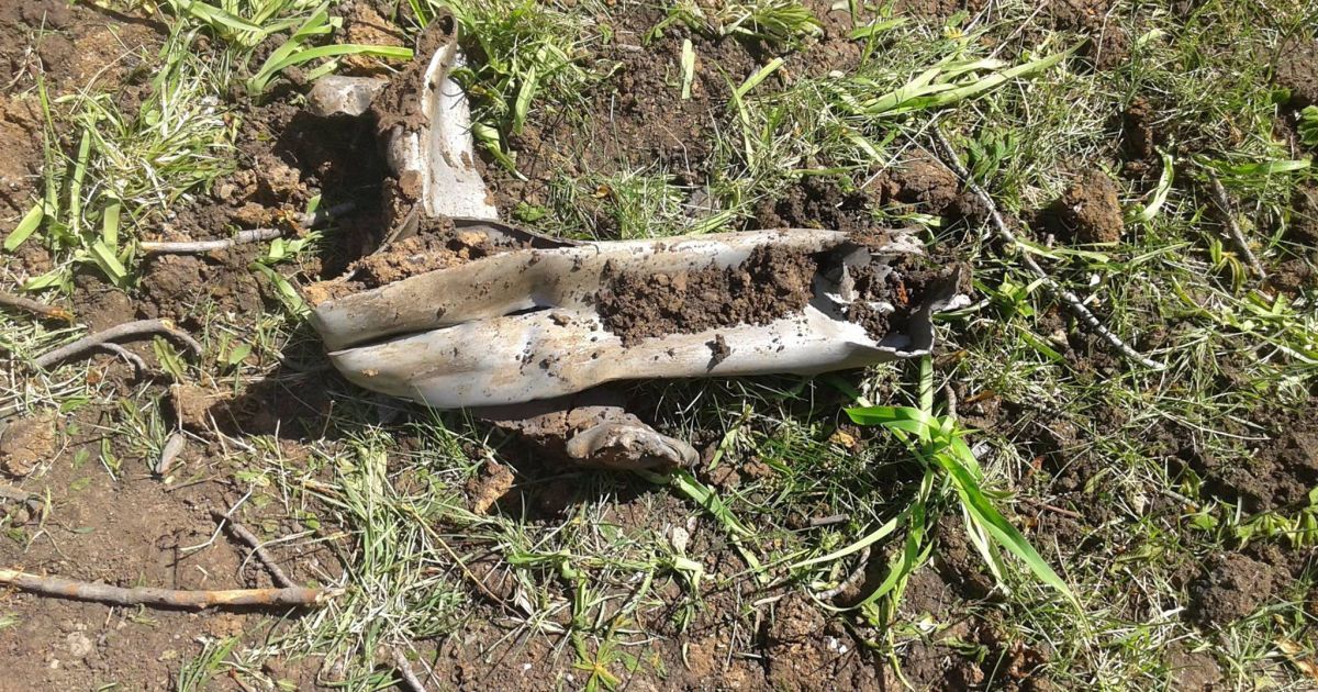 розбомблене кладовище в Попасній_2 / © ГУ Нацполіції в Луганській області