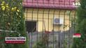 Знайдено цілу родину мертвою - версії слідства та деталі справи