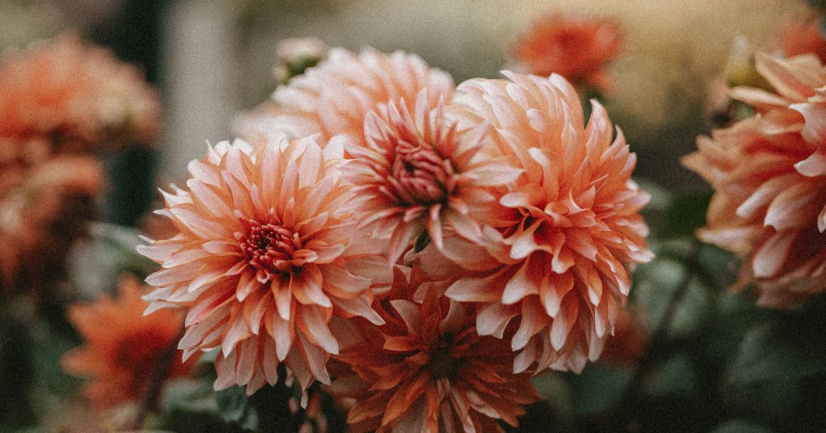 Какой сегодня 16 сентября день ангела