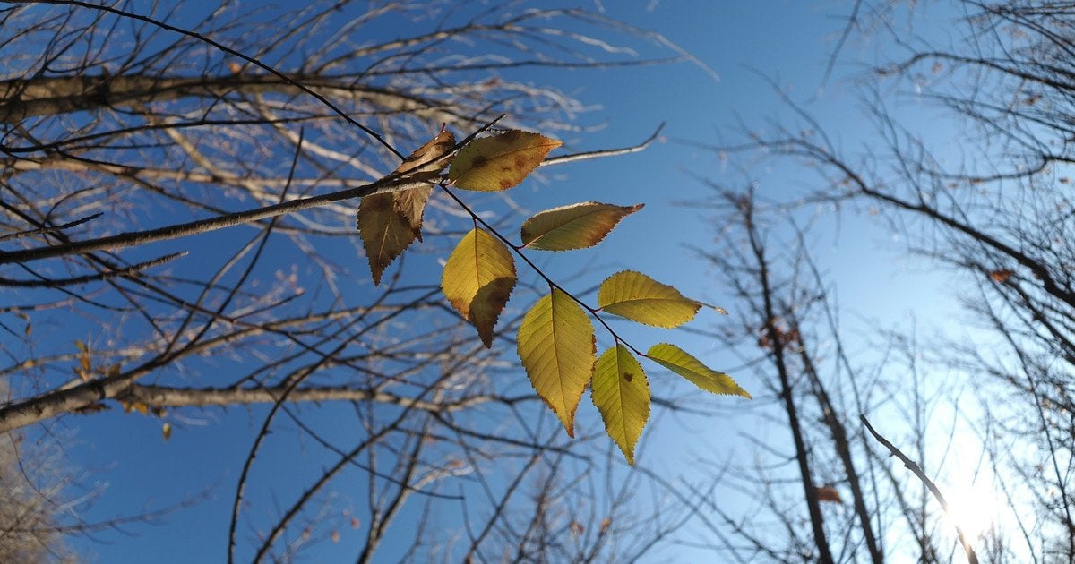 В Україні очікується нестійка погода з опадами