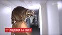 Людина та єнот: неймовірна історія дружби Дмитра та Марлі