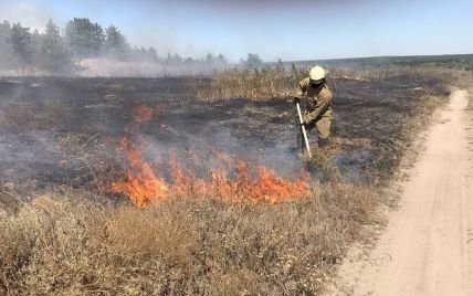 "Температура и ветер помогают пожару, а не нам": спасатели продолжают тушить огонь в Харьковской области