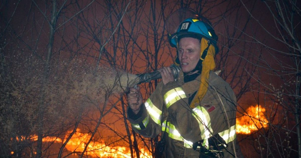 На Дніпропетровщині за добу вигоріло майже 300 гектарів: паліїв закликають зупинитися (відео)