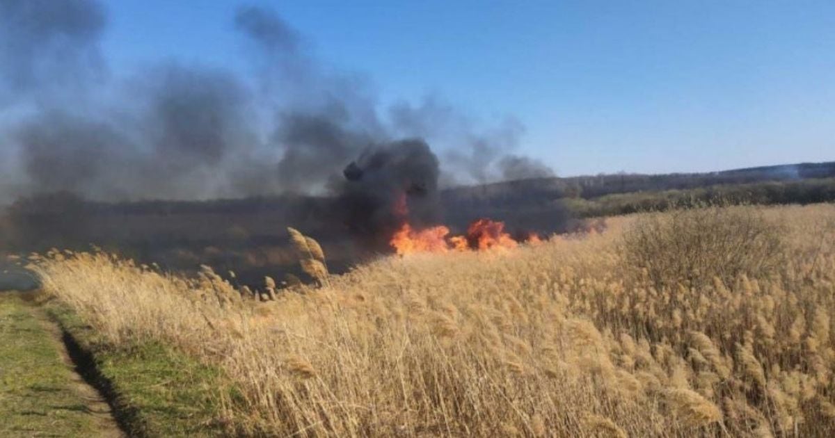Спалювання сухої трави прирівняли до диверсії: зловмисникам загрожує 15 років в'язниці