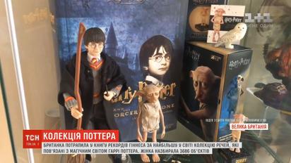 Британка собрала самую большую в мире коллекцию вещей, связанных с магической вселенной Поттера