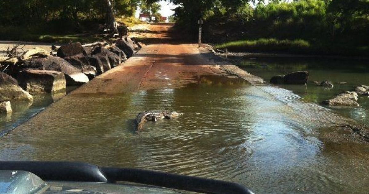 В Австралії крокодили розірвали чоловіка, який переходив у забороненому місці дамбу