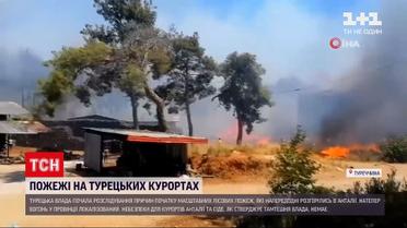 Новости мира: в Турции расследуют причины масштабных лесных пожаров