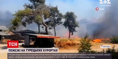 Новости мира: в Турции расследуют причины масштабных лесных пожаров