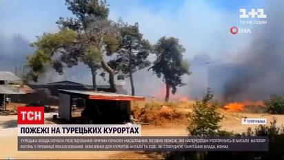Новости мира: в Турции расследуют причины масштабных лесных пожаров