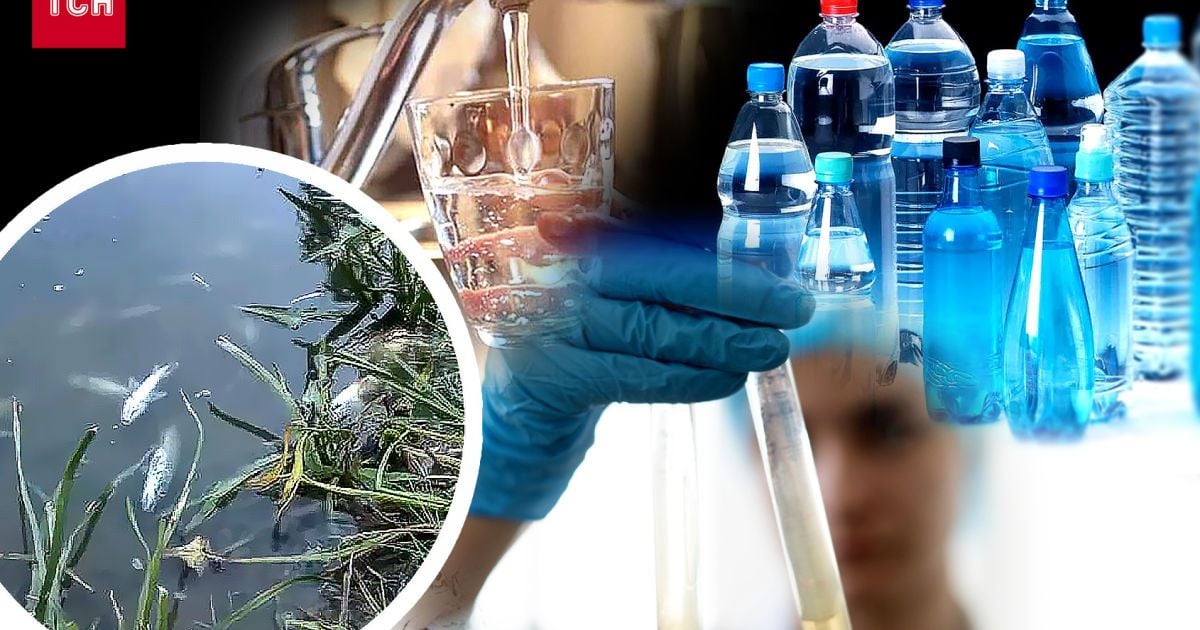 Що виявили у пробах води у Десні під Києвом / Колаж ТСН.ua