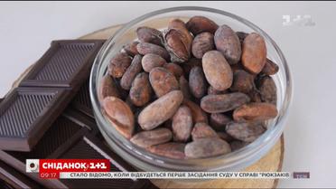 Какой шоколад самый полезный