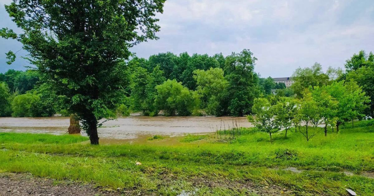Во Львовской области из берегов вышла река: затоплено село