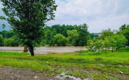 Во Львовской области из берегов вышла река: затоплено село
