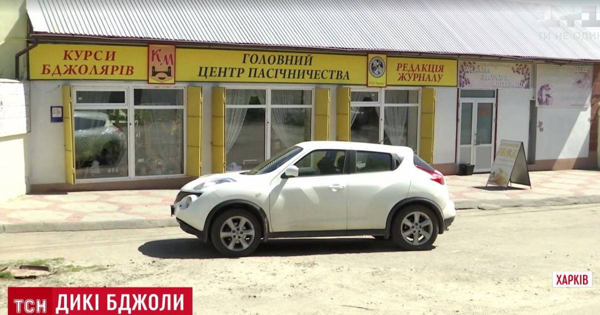 В Харькове женщину с ребенком покусал бешеный рой пчел