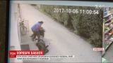 В Словакии бабушка самостоятельно пыталась обезвредить вооруженного грабителя