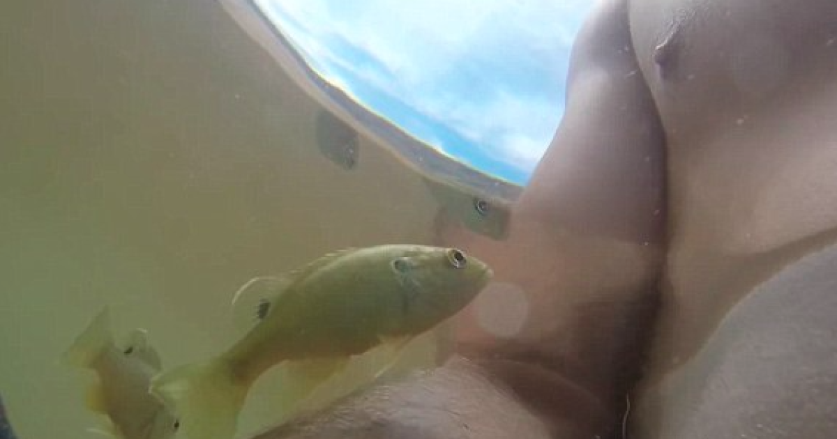 Заметим, что видео снято на водохранилище на реке Колорадо, что в США