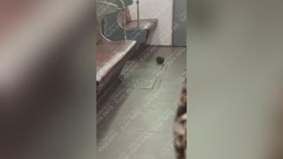 Неизвестные подбросили похожий на мину предмет к вагону метро в Киеве