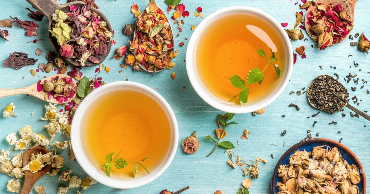 Вітамінна суміш на основі зеленого чаю: як засушити й зберігати ягоди та трави на зиму