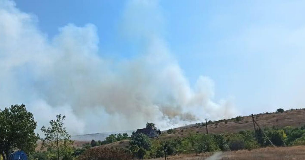 пожежа у Єланецькому степу_2 / © Управление ГСЧС в Николаевской области