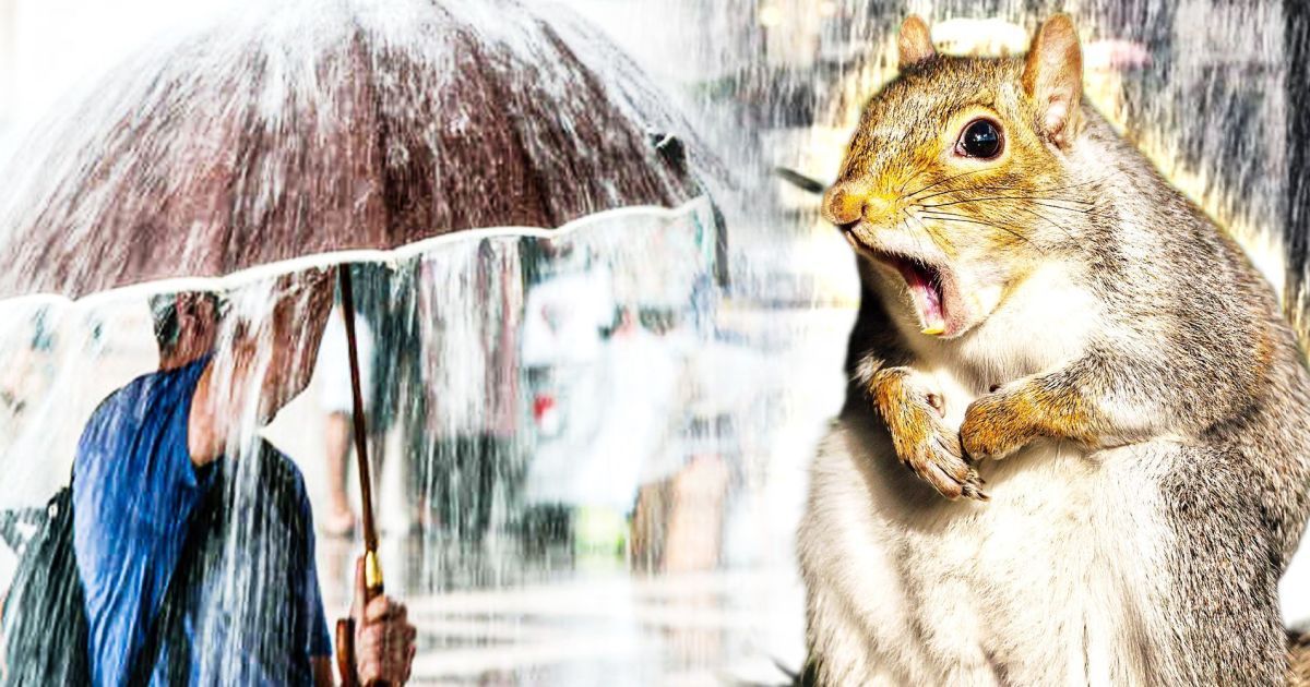 Февраль в Киеве показался холодным и сухим: осадков было всего 31% от нормы, а морозы достигали -12,3°C.