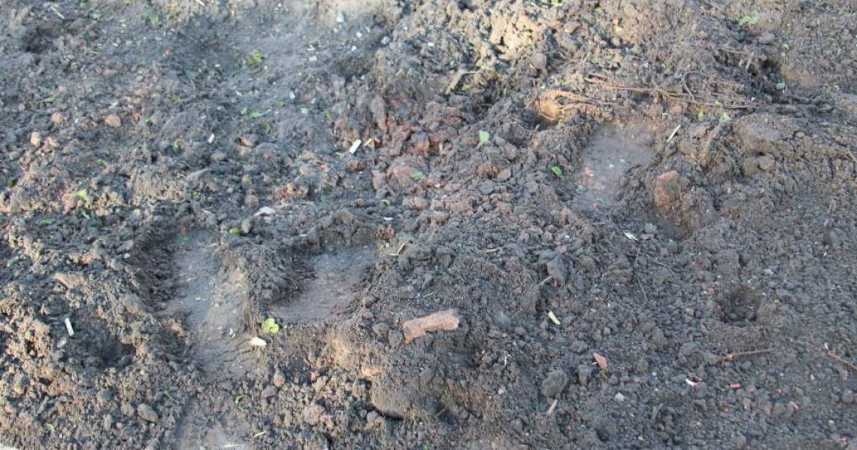 обстріл авдіївки_12 / © Facebook/прес-центр штабу АТО