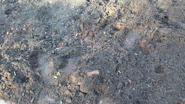 обстріл авдіївки_12 / © Facebook/прес-центр штабу АТО