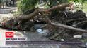 Новини України: на Закарпатті і досі не знайшли зниклого у водах чоловіка, який рятував коня