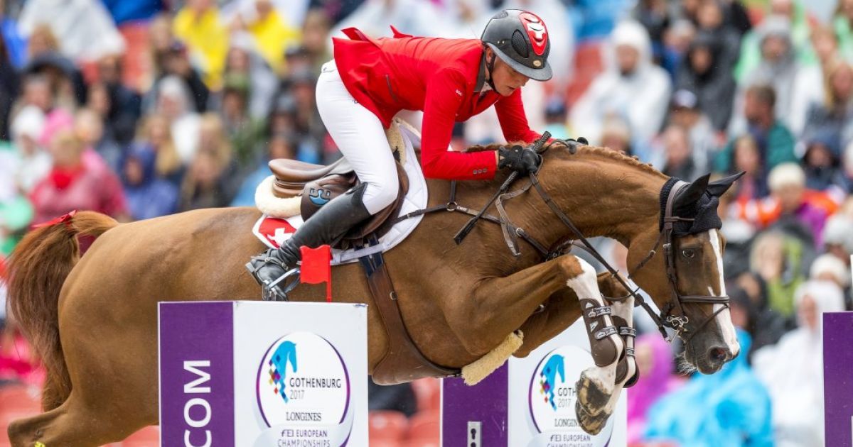 twitter.com/paarden